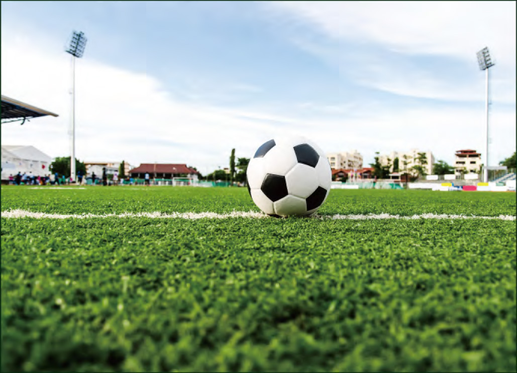 1539848557275825.jpg 足球草圖片2.jpg