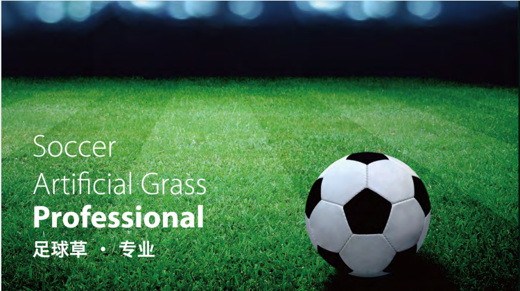 1539850125890971.png 足球草5.png